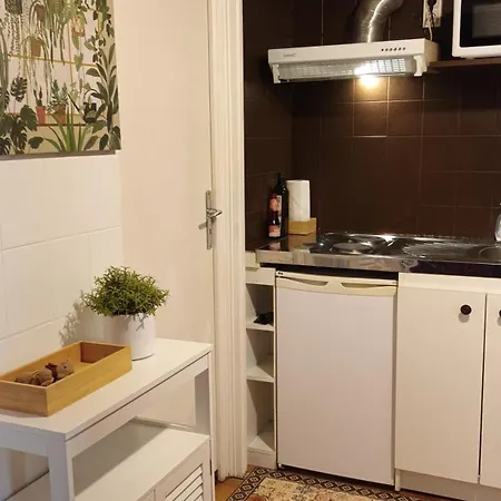 Petit Mignon - Hypercentre Appartamento *