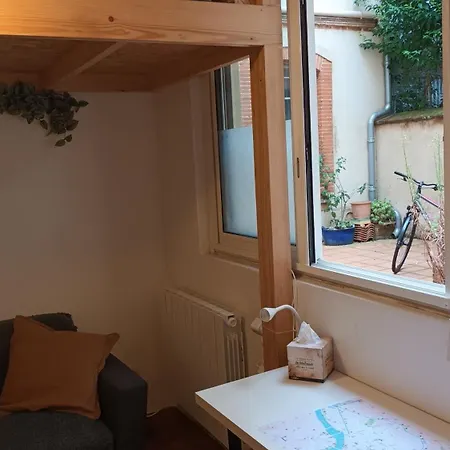 Petit Mignon - Hypercentre Apartment