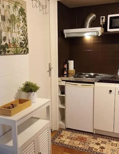 Petit Mignon - Hypercentre * Toulouse