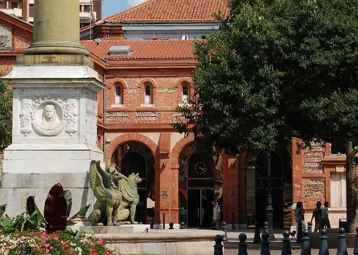 Appartement Petit Mignon - Hypercentre Toulouse