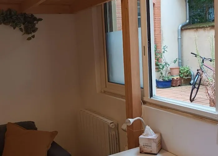 Petit Mignon - Hypercentre Appartement