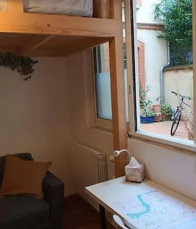 Petit Mignon - Hypercentre * Toulouse